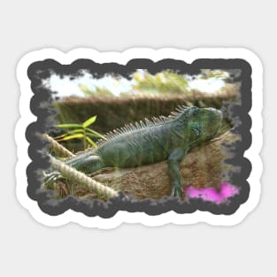 Lizard Sticker